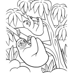 Excellent Cartoon Sloth Coloring Pages Posted Three Toed On The Tree