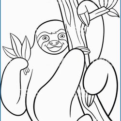 Exceptional Amazing Image Of Sloth Coloring Page Images Pages Cute Sloths Town Printable Lazy Kids Color