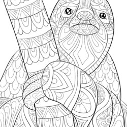 Perfect Sloth Coloring Pages Free Printable Of Sloths To Help Print Mom Relax Slow Down Tip
