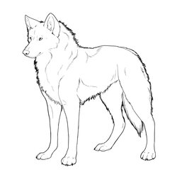 Perfect Free Printable Wolf Coloring Pages For Kids Animal Place Page Photo