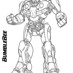 Bumblebee Coloring Page Free Printable Pages For Kids
