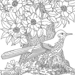 Fine Get This Free Adults Printable Of Summer Coloring Pages Fit
