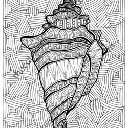 Wizard Free Printable Summer Coloring Pages For Adults Shell