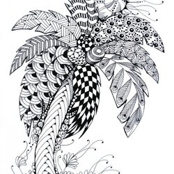 Capital Get This Online Summer Printable Coloring Pages For Adults Adult Tree Palm Color Drawing Trees