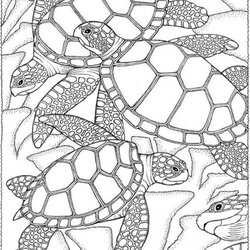 Worthy Get This Summer Coloring Pages To Print Out For Adults Fit