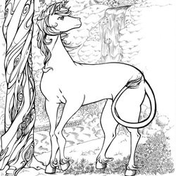 Out Of This World Unicorns Coloring Pages Minister Unicorn Horn Word Feathers Horns Usually Latin Associated