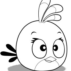 Legit Free Printable Angry Bird Coloring Pages For Kids Birds Para Online