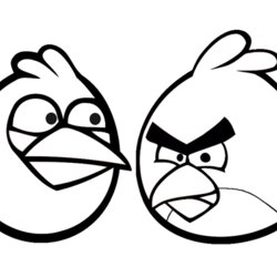 Sterling Angry Birds Coloring Pages For Your Small Kids Stumble