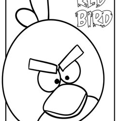 Peerless Angry Birds Coloring Pages For Kids Realistic Bird Red Printable Color Sheets Titan Posted Colouring