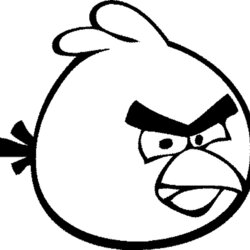 Outstanding Angry Birds Coloring Pages For Your Small Kids Bird