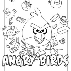 Wonderful Angry Bird Coloring Pages Birds Printable Sheets Print Sheet Mario Color Kids Lego Super Colouring