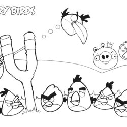 Free Printable Angry Bird Coloring Pages For Kids Birds Page