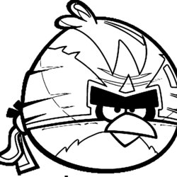 Spiffing Angry Birds Coloring Pages Home Bird Colouring Red Drawing Kids Popular