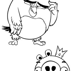 Matchless Angry Bird Coloring Pages Birds Sheets Printable