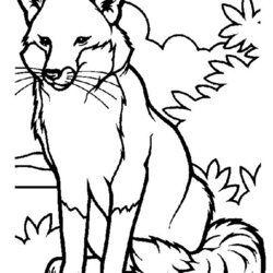 The Highest Quality Free Printable Fox Coloring Pages For Kids