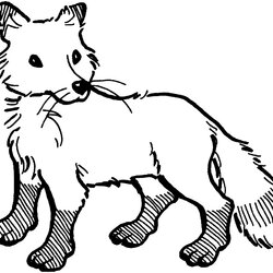 Excellent Fox Coloring Pages Free The World
