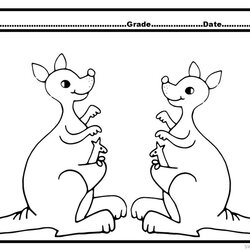 Supreme Kangaroo Coloring Pages Resolution Printable Kids School High Size