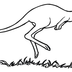 Fantastic Free Printable Kangaroo Coloring Pages For Kids