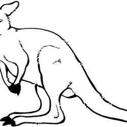 Swell Free Kangaroo Coloring Pages Australian Animal Template Animals Outline Printable Kids Colour Colouring