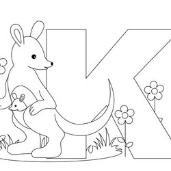 Admirable Free Printable Kangaroo Coloring Pages For Kids Animal Place Page Images
