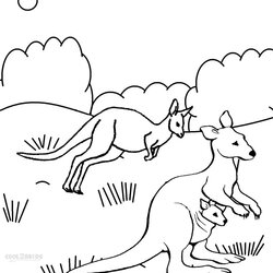 Exceptional Printable Kangaroo Coloring Pages For Kids Drawing Of