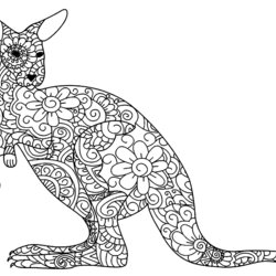 Legit Flowery Kangaroo Kangaroos Kids Coloring Pages Printable Tails Animals For Children