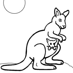 Perfect Free Printable Kangaroo Coloring Pages For Kids Page Photos