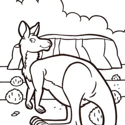 Brilliant Kangaroo In Australia Animal Coloring Pages For Kids To Print Color Kangaroos Animals Printable