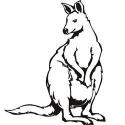 Excellent Kangaroo Coloring Page Free Download On Printable Pages