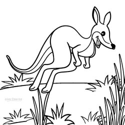 Super Printable Kangaroo Coloring Pages For Kids Tree Color Print