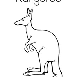 Capital Kangaroo Coloring Page Twisty Noodle Pages Color Colouring Animal Printable Kangaroos Print Kids