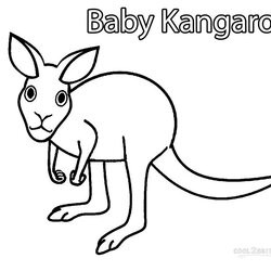 High Quality Printable Kangaroo Coloring Pages For Kids Baby Drawing Rat Print Color Sketch