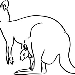 Free Printable Kangaroo Coloring Pages For Kids Animal Place Page Picture
