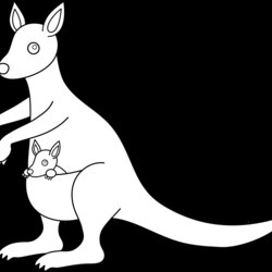 The Highest Quality Kangaroo Design Free Clip Art Outline Line Drawing Coloring Transparent Related Use