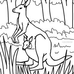Printable Kangaroo Coloring Pages For Kids Baby Cute Color Print Sheets Animal Joey Animals Books Choose