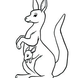 Kangaroo In The Pocket Kangaroos Kids Coloring Pages Color Printable Animals For Children