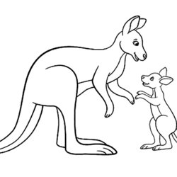Sterling Kangaroos In Family Kids Coloring Pages Color Children Animals Simple For