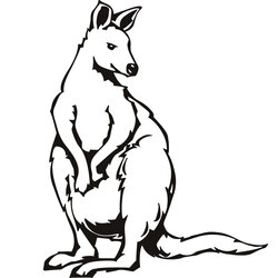 Superb Free Printable Kangaroo Coloring Pages For Kids Animal Place Outline Colour Vector Color Clip Sunday