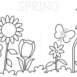 Supreme Free Printable Spring Coloring Pages Springtime Size Print
