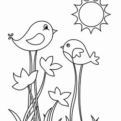 Wizard Springtime Coloring Pages For Toddlers Turtle Bobolink