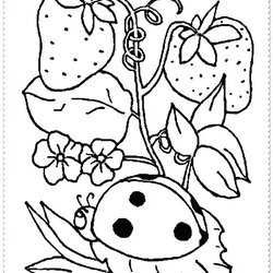 Wonderful Free Springtime Coloring Pages At Download Spring Printable Kids Animals Time Sheet Season Adults