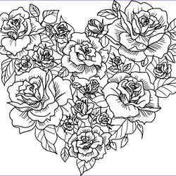 High Quality Detailed Rose Coloring Pages For Adults Game Master