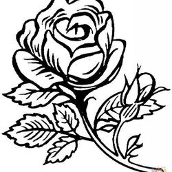 Wizard Get This Printable Roses Coloring Pages For Adults Fit