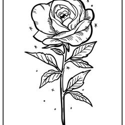 Swell Rose Coloring Pages Free Mandala