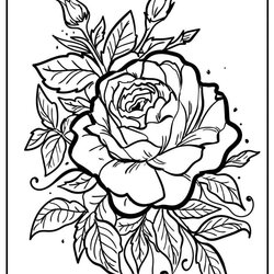 The Highest Quality Rose Coloring Pages Original And Free