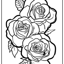 Cool Free Roses Coloring Book Pages