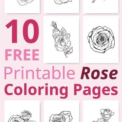 Peerless Free Printable Rose Coloring Pages Realistic Designs For Adults Roses