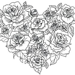 Marvelous Gorgeous Rose Coloring Pages For Kids And Adults Flower