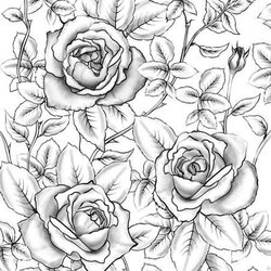Excellent Printable Coloring Pages For Adults Rose