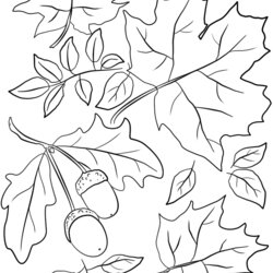 Sterling Free Printable Fall Leaves Coloring Pages At Color Autumn